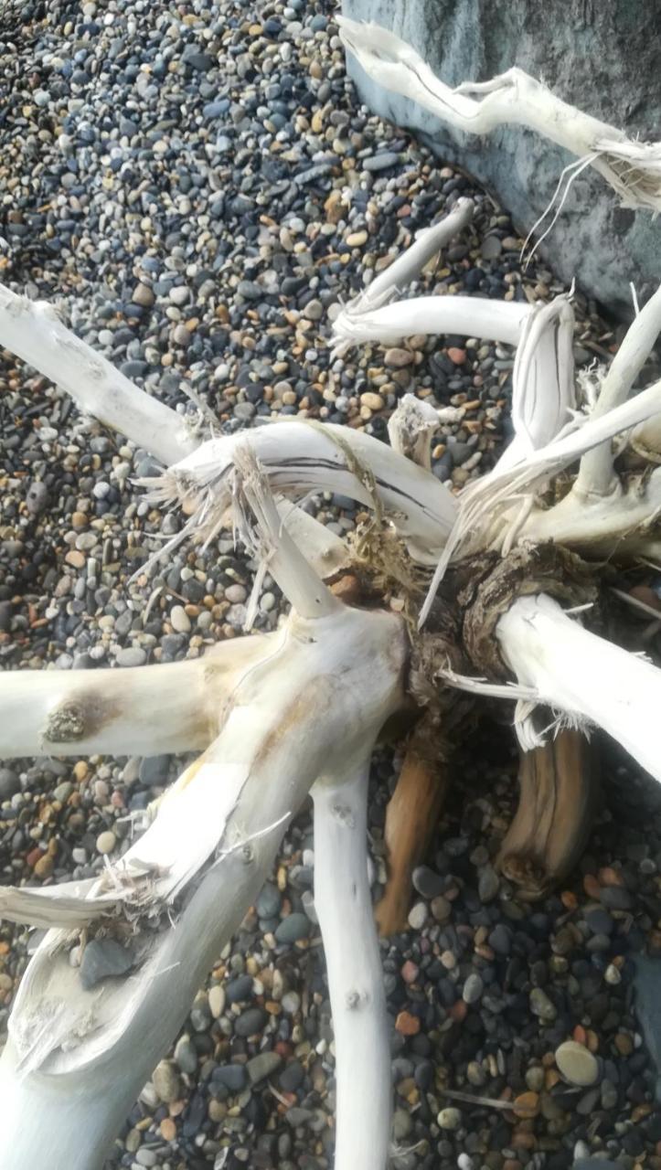 Villa Dolly Porto Columbu - Perd'E Sali Zewnętrze zdjęcie